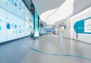 万荣枣树树苗厂家供应