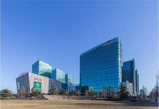 黄浦区专业性程序服务商特点